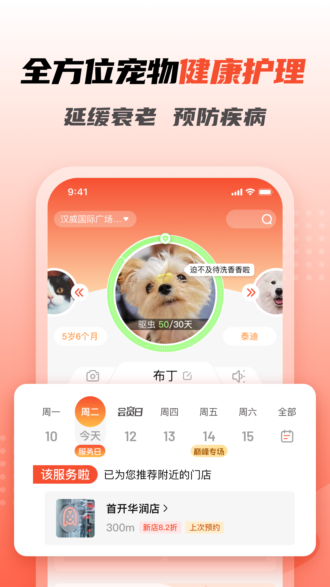 appv5.9.440 ٷ