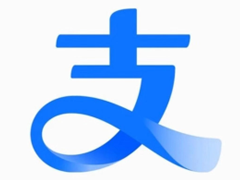 ֧������ѹ�������￴�� ֧������ѹ������ʲô