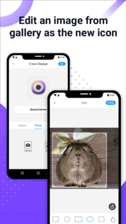 xIconchangerxͼתv4.5.1 ٷ