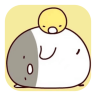 billddeskѰv0.69.0 ׿