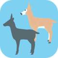 Ѱ״ӰӱϷ(Find the Shape)v1.0.3 ׿