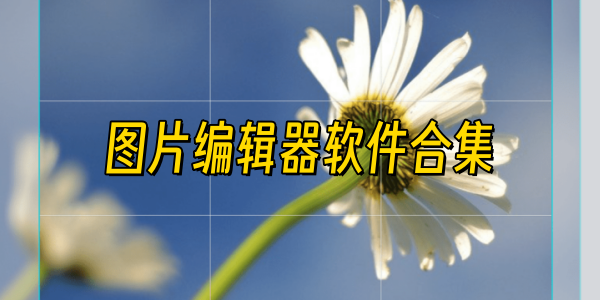 ͼƬ༭