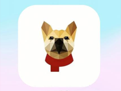 ����app�ѵ�����ļٵ� ����app�᲻��й¶������Ϣ