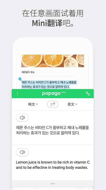 papagoװv1.11.1 °