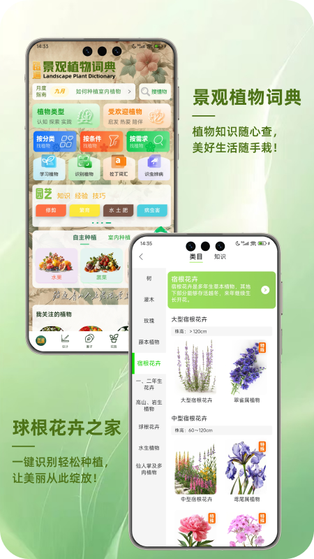 ̤龰ֲʵAPPv1.1.0 ׿