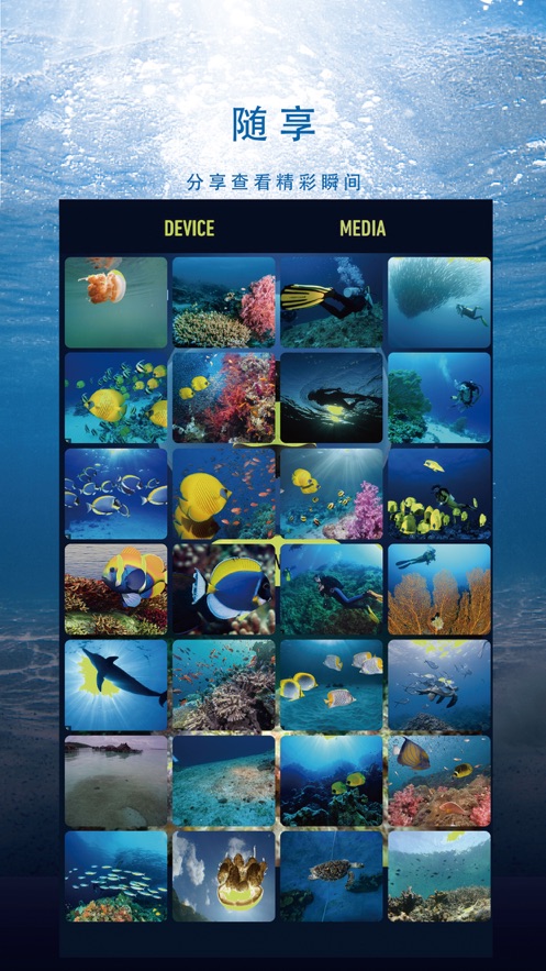 FIFISHv5.1.3 ׿