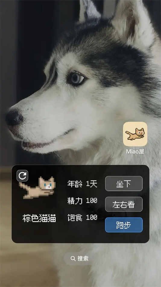 Miao°v1.2.0 ׿