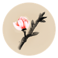 ¥Ϸ׿v1.0.4 ֻ