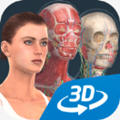 humanbodyٷ2025(Human body (female))v1.0 ׿