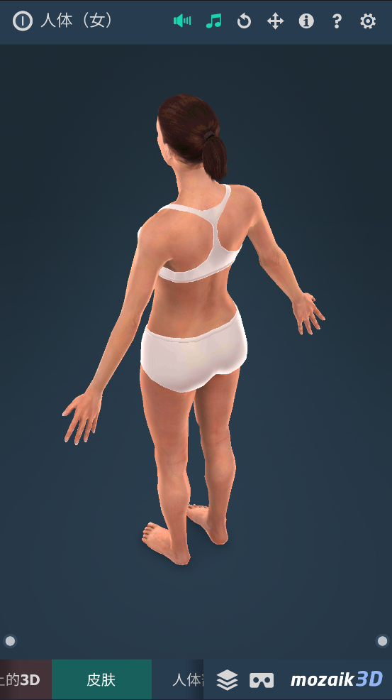 humanbodyٷ2025(Human body (female))v1.0 ׿