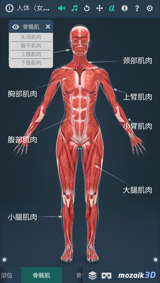 humanbodyٷ2025(Human body (female))v1.0 ׿
