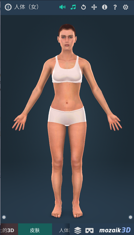 humanbodyٷ2025(Human body (female))v1.0 ׿