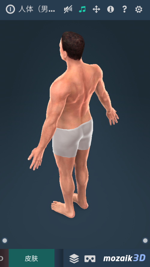 Humanbodymalev1.24 °