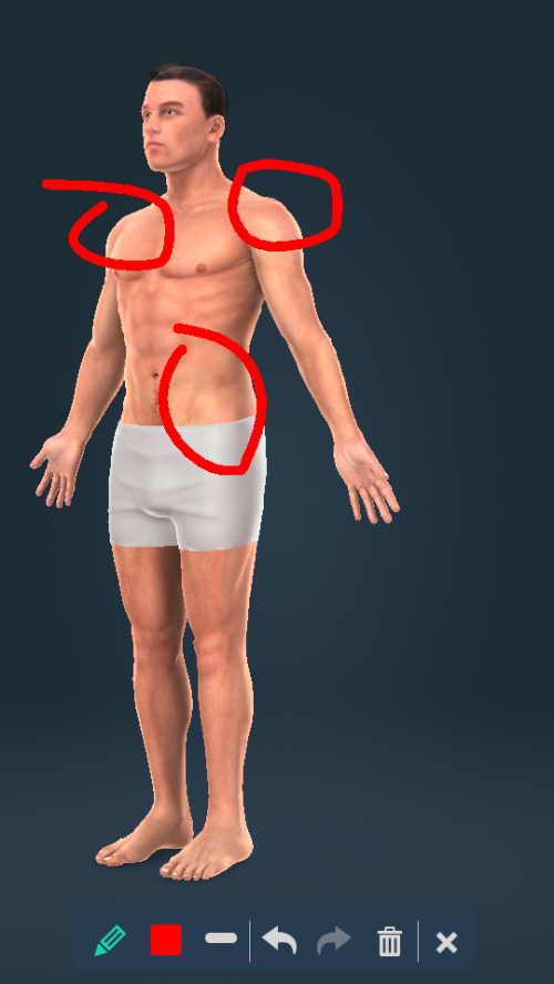 Humanbodymalev1.24 °