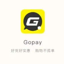 gopayǮappذװ°汾v6.131.0 ׿