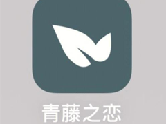 ����֮���Ҷ���ɿ��� ����֮���Ҷ�����ʸ���