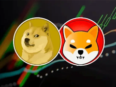 �����ҺͲ�Ȯ���ĸ���ǰ�� �����ҺͲ�Ȯ���ĸ���ֵǮ