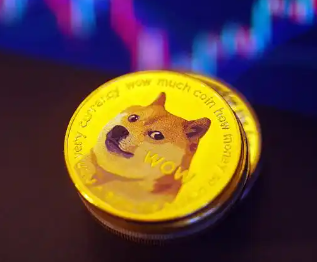 doge���������깺������ doge�����й���������