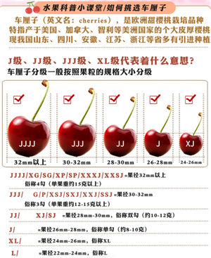 �����ӵ�j����ʲô��˼ �����ӵ�j������������