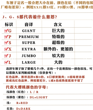 �����ӵ�j����ʲô��˼ �����ӵ�j������������