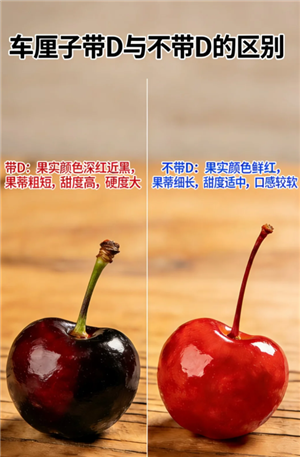 �����ӵ�j����ʲô��˼ �����ӵ�j������������