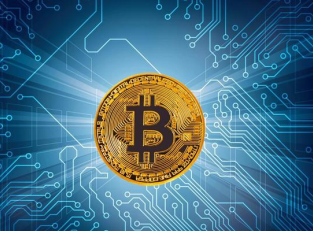 �׽���app����