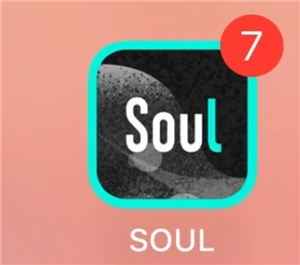 Soul�ͷ�24Сʱ�˹��绰���� Soul�ͷ��绰��ôת�˹�