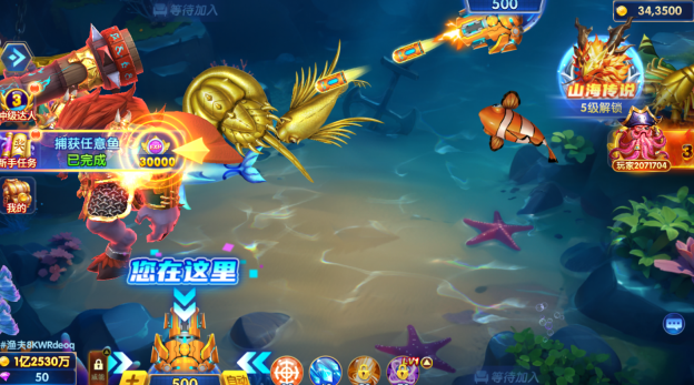 ���ֲ���ɰ汾����