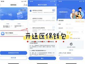 ҽ�������˻���ʡ������ʲô��˼����Щʡ ҽ�������˻���ʡ������ô��