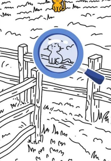 �Ҳ��Ծ���׿��