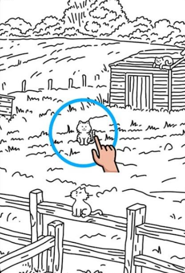 �Ҳ��Ծ���׿��