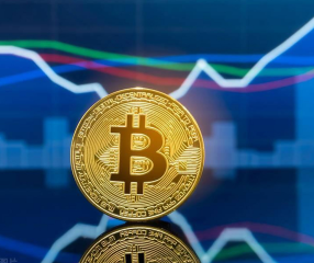 2026����������� ��ֵ���Ƽ��������������Щ