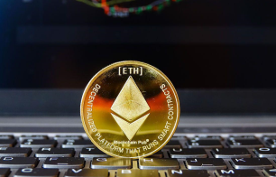 2026����������� ��ֵ���Ƽ��������������Щ