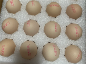 1号会员店怎么领鸡蛋 1号会员店领鸡蛋流程 1号会员店怎么领鸡蛋 1号会员店领鸡蛋流程