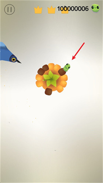 ���ĸ�����Ϸ