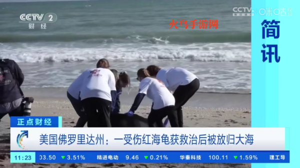 星火电视海外版 星火电视海外版