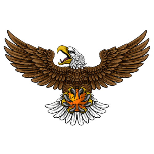 ��ӥTV����appv8.7 �ֻ���