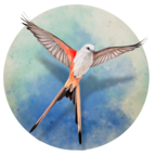 չ�᰿����Ϸ��׿��(չ�᰿�谲װ��)v1.5.546 �ֻ���