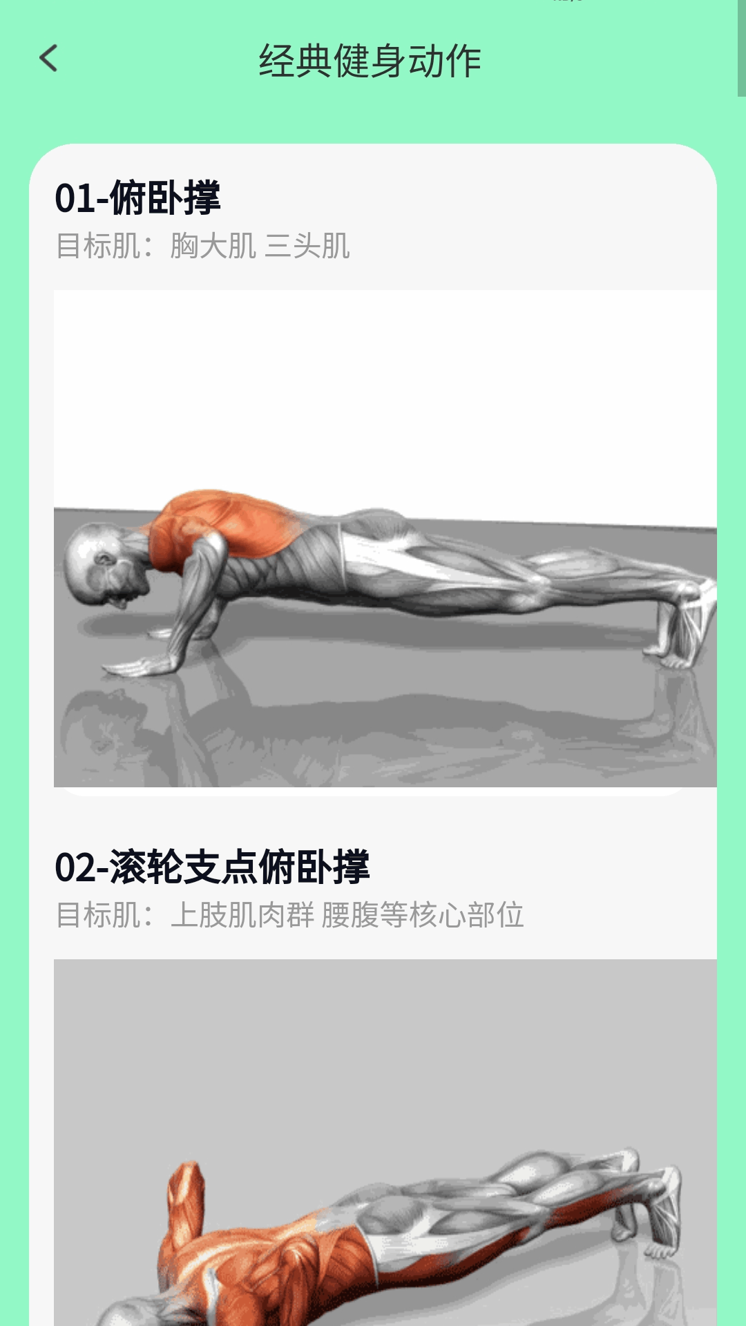 ��·���͵�����v1.0.5.020251251548 ���İ�