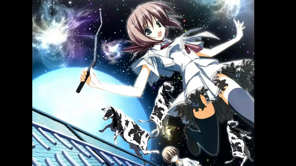 �����հ�װ��v1 �ֻ���