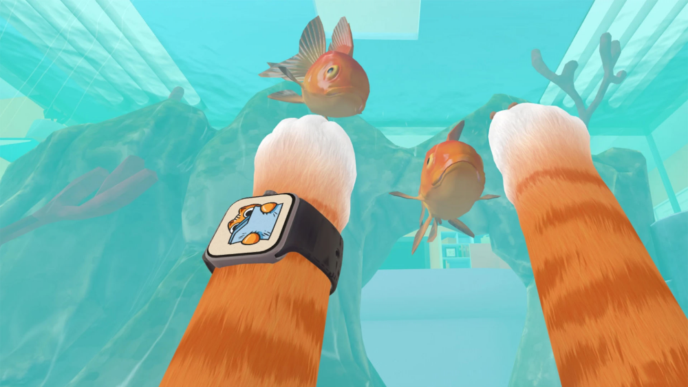 è��Ѱ�����޹���v300.1.4 vivo��