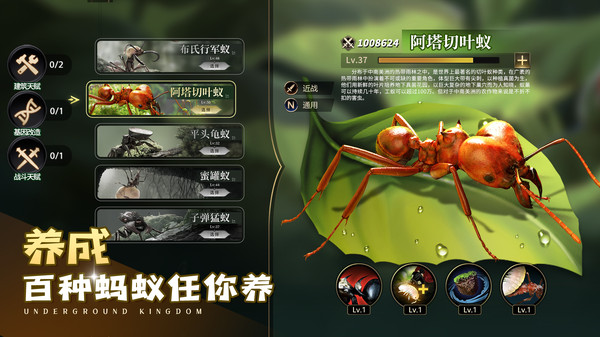 СС�Ϲ���Ϸ�ٷ�vivo��v3.0.60 ��������