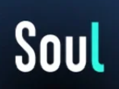 Soul�ͷ�24Сʱ�˹��绰���� Soul�ͷ��绰��ôת�˹�