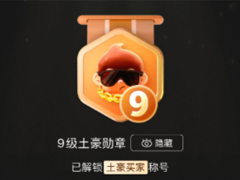 ƴ���ѫ��ǽ�������� ƴ���ѫ��ǽ��ô�����˶���Ǯ