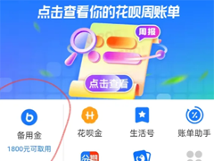 ֧�������ý���ʲô ֧�������ý���ô�ر�