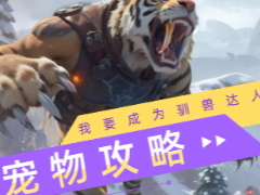 �޾����ճ����������� �޾����ճ���������������