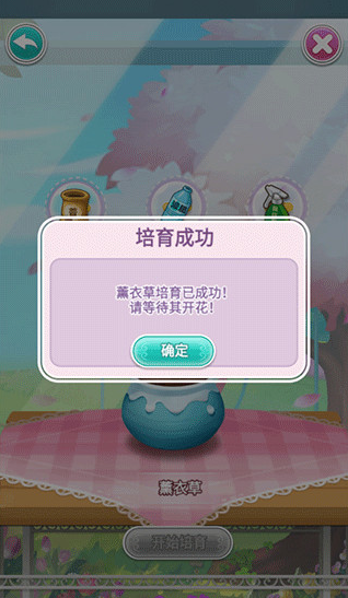 鲜花小镇官方版 鲜花小镇官方版