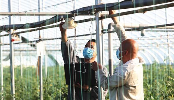 伟农绿色养殖技术助力农户增收致富 伟农绿色养殖技术助力农户增收致富