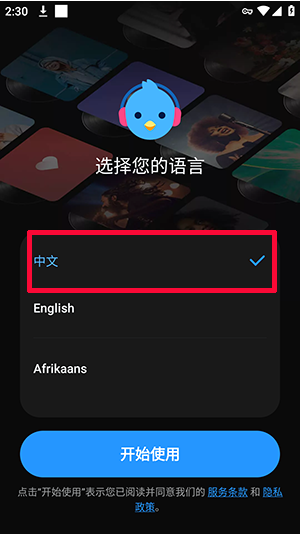 Lark Player高级版app下载 Lark Player高级版app下载