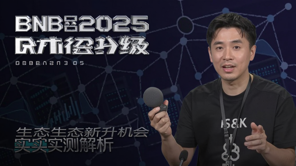 BNB2025��̬�����»���ʵ�����